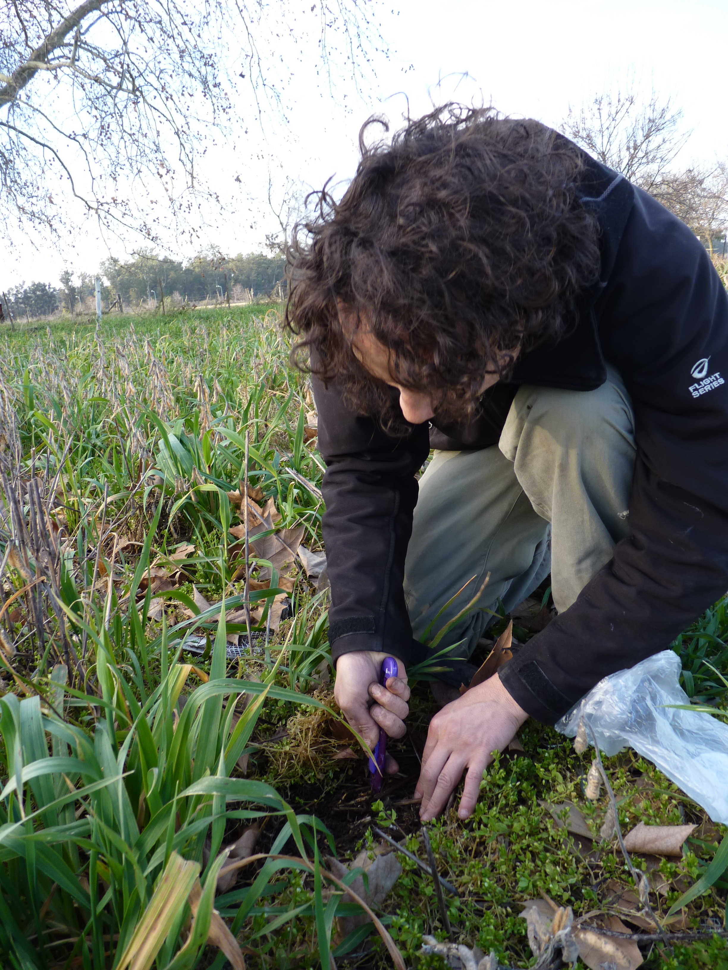 Muestreo y evaluación técnica de suelo agrícola
