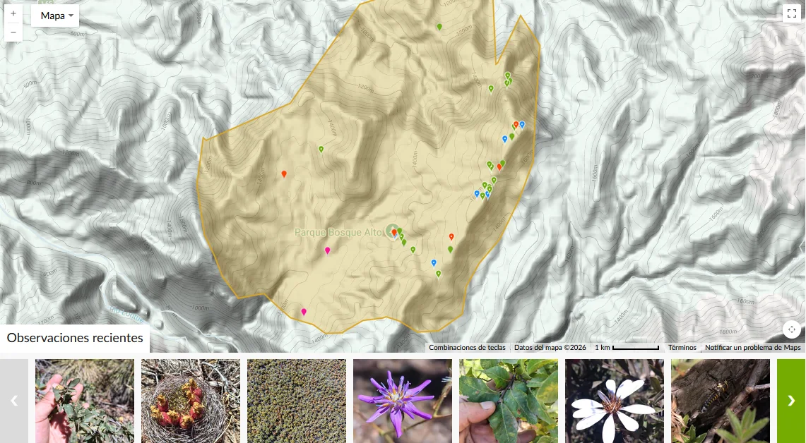 Mapa e inventario de biodiversidad de Bosque Alto, Curicó