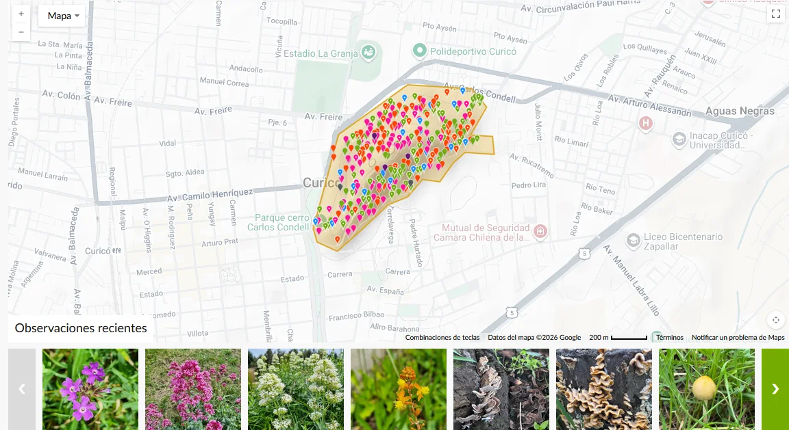 Mapa e inventario de biodiversidad del cerro isla Carlos Condell