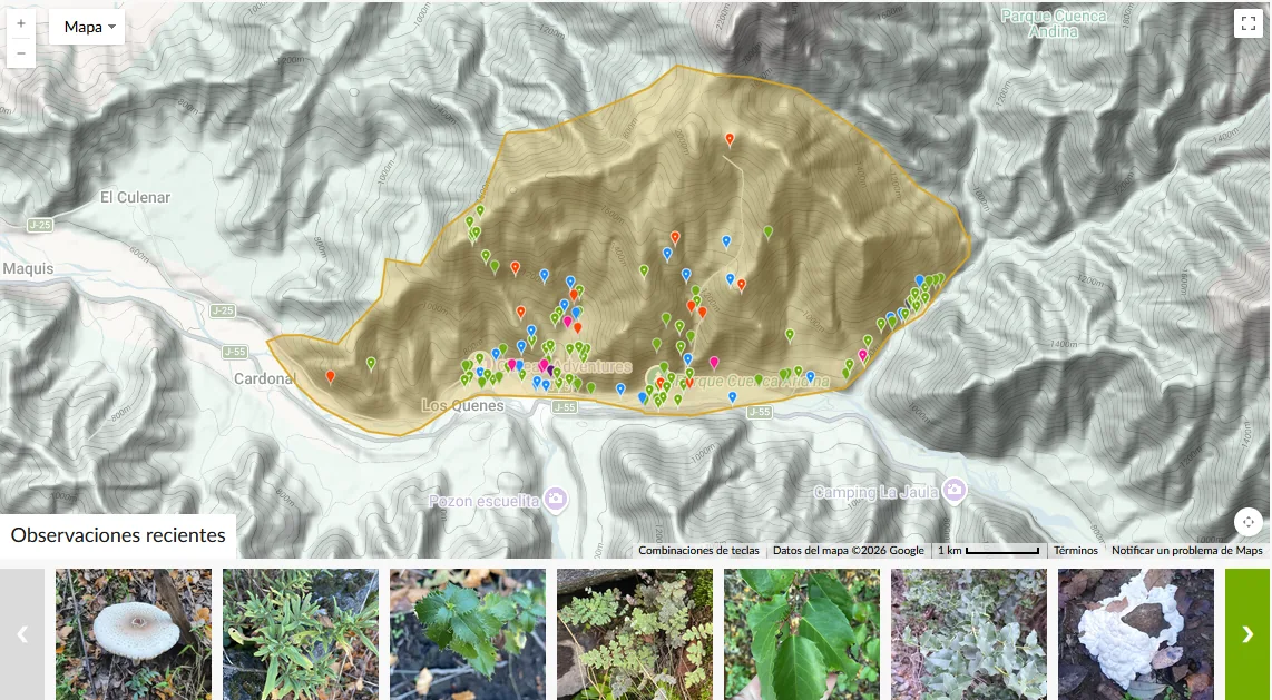 Mapa e inventario de biodiversidad de Las Trancas y Los Queñes