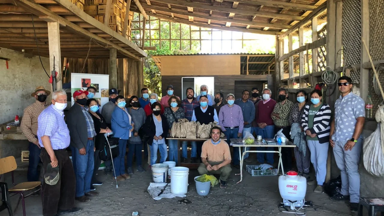 Actividad de asesoría técnica y trabajo con productores