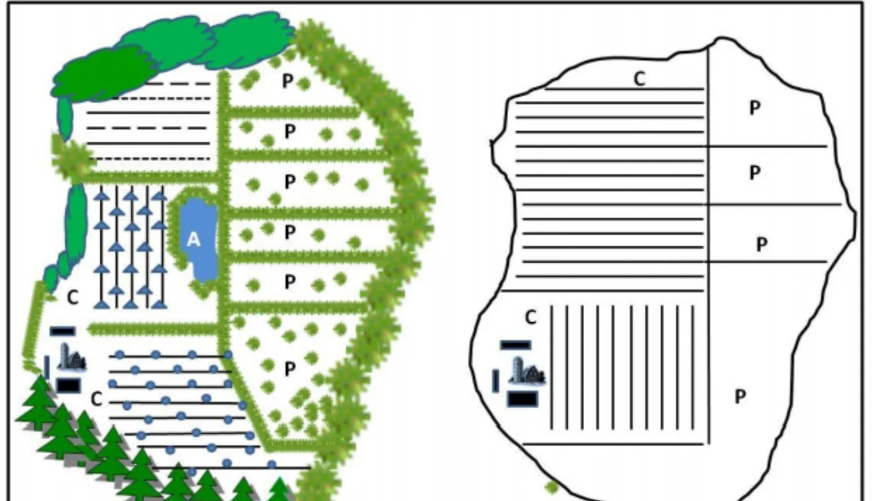 Esquema de diseño de agroecosistemas con infraestructura ecológica