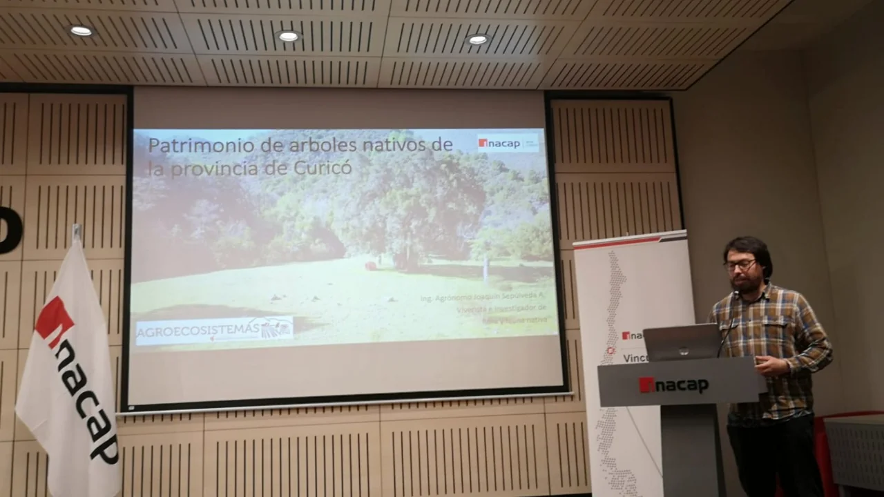 Presentación de trabajo sobre patrimonio de árboles nativos de la provincia de Curicó